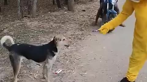 Comedy videos