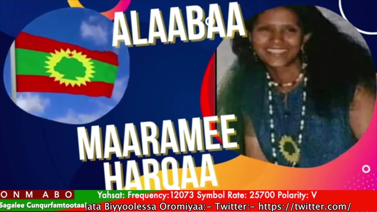 Qophii Humna Weelluu ONM-ABO Ebla 9-2025 Itti dhiyaadhaa!