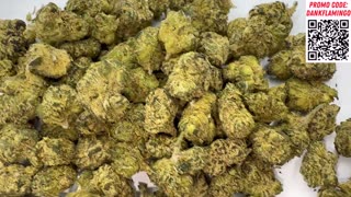 Black Cherry Gelato from SHM! Dankin With the Flamingos Review!!