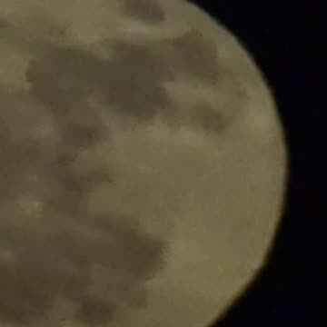 The Pink Moon June 2025