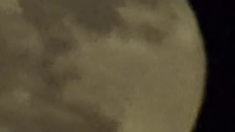 The Pink Moon June 2025