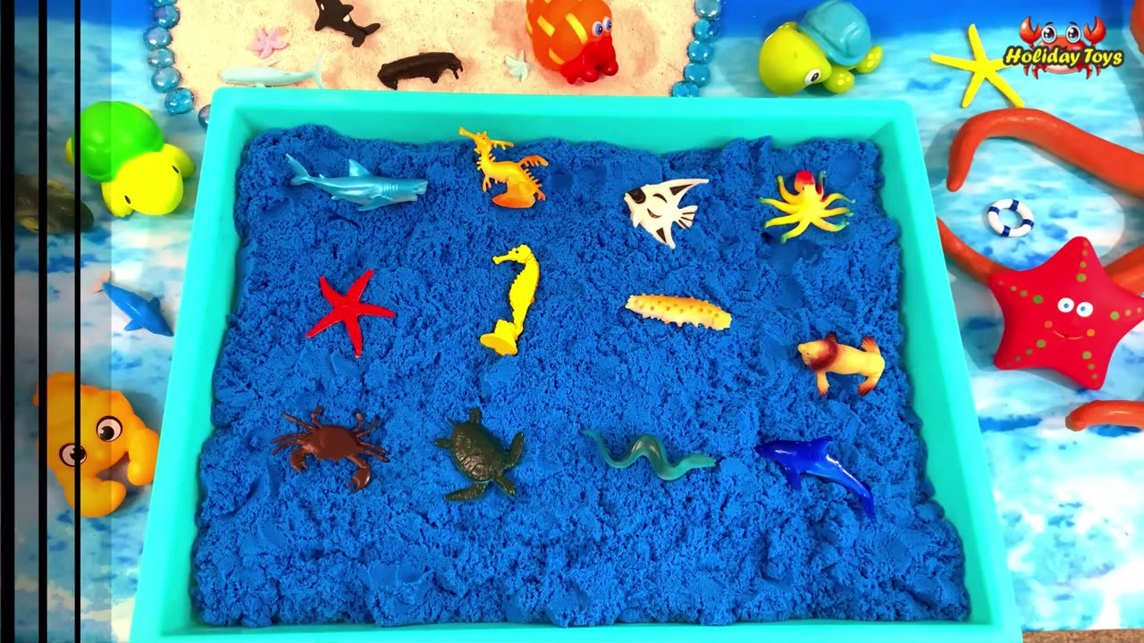 Arrange Sea Animals on Blue Sand to Play at Home