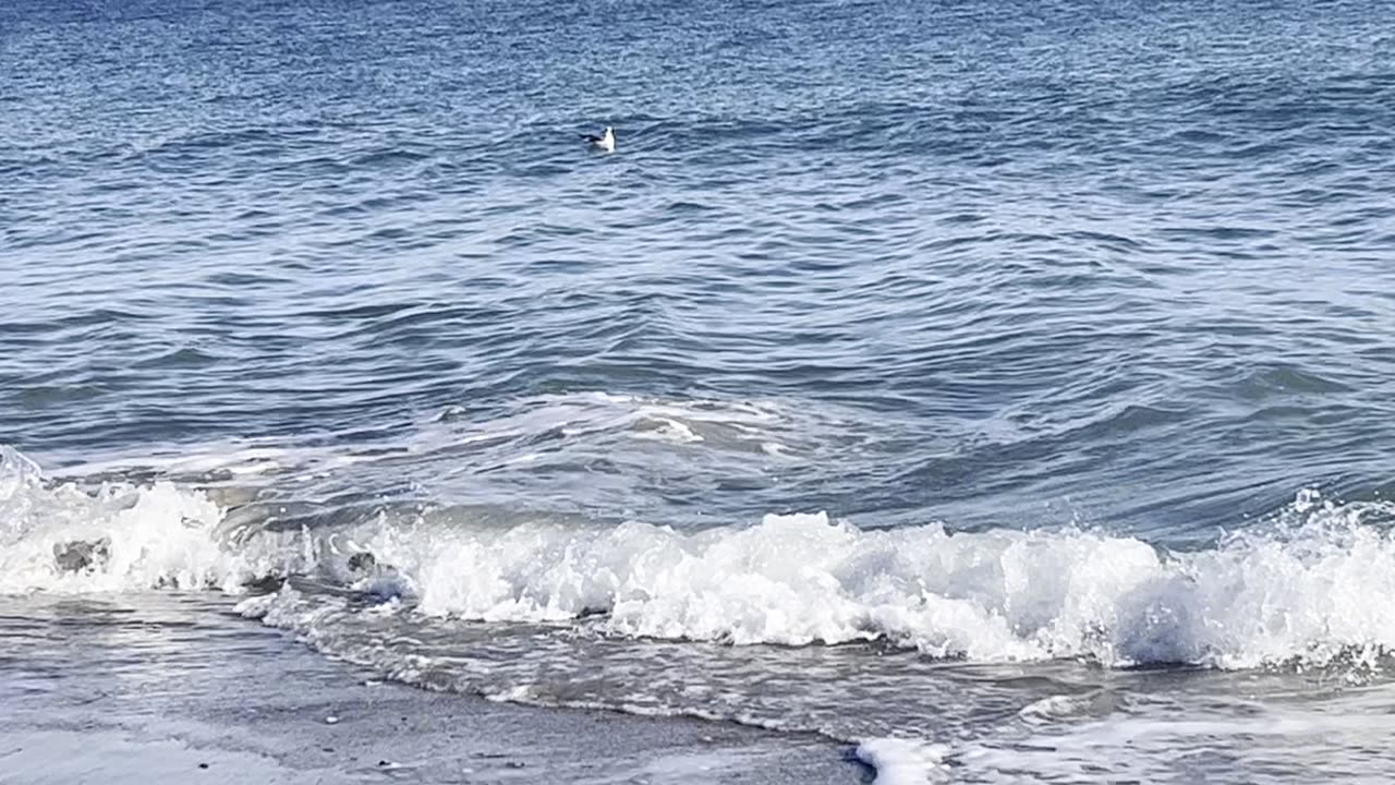 Resist-Deny-Challenge