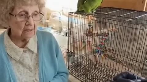 Mad the bird 2 You're going to lose it in the end 🦜🚓😂