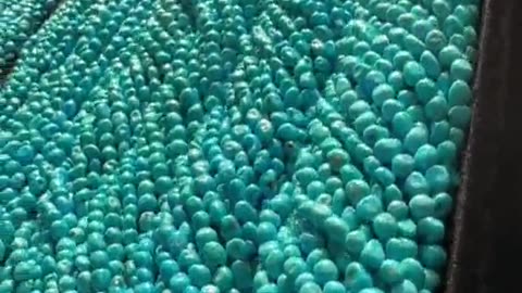 250427-10 Sleeping Beauty's natural sterling treatment turquoise bead