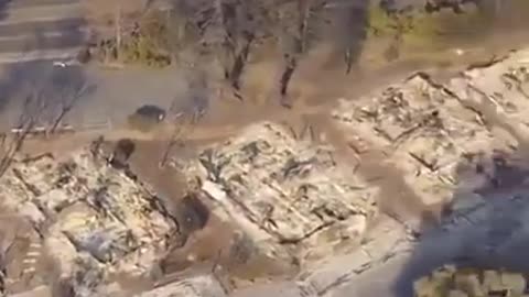 An entire neighborhood wiped out while leaving the trees untouched