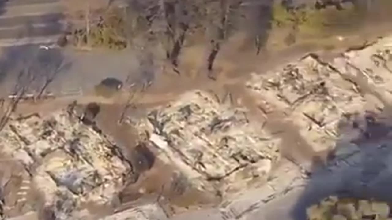 An entire neighborhood wiped out while leaving the trees untouched