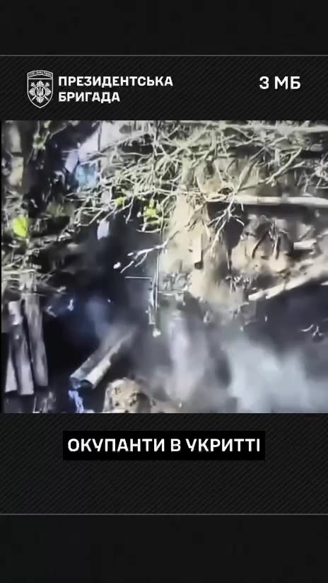 The Day the Sky Fell