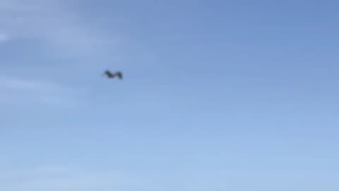 Herbs for Thyroid Health: The Science, Safety, and Surprising Interactions