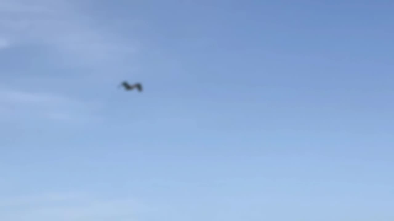 Herbs for Thyroid Health: The Science, Safety, and Surprising Interactions