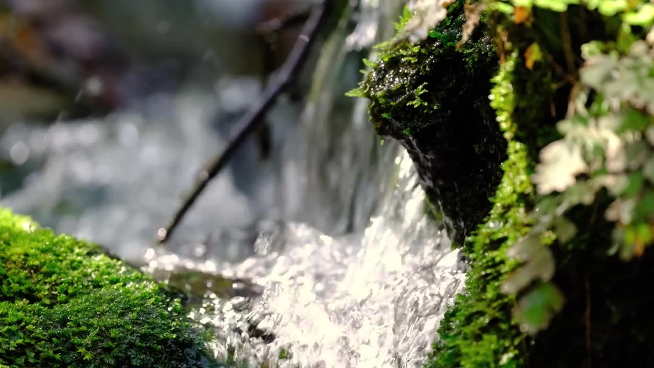 Waterfall forest nature
