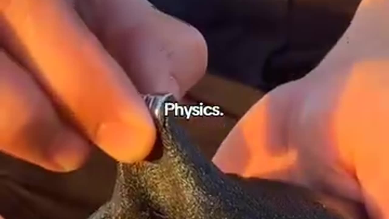 Physics