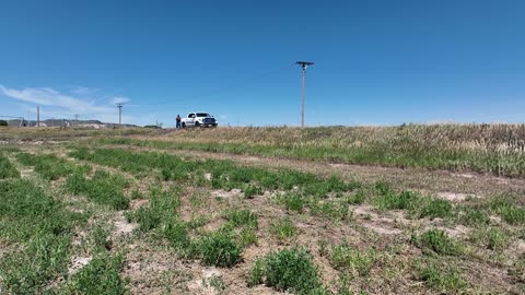 Fly low around several bales