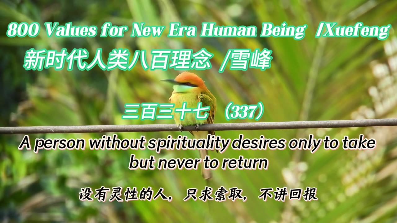 800 Values for New Era Human Being（337）