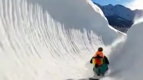 Sausage and Lucky 🐾| funny dog 05