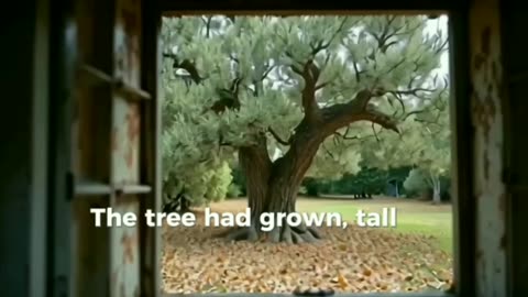Video Evermore by Soni AB The Novel on Amazon and Playstore Google Chapter 1 The Letter Scene 1