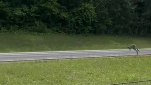 Only in Alabama
