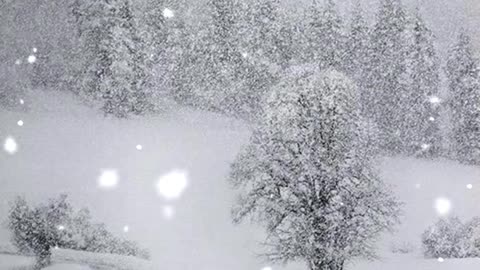 Snow world