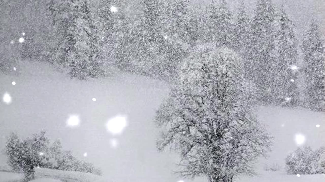 Snow world