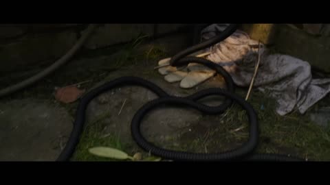 Final Destination Bloodlines | Official Trailer