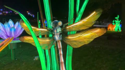 2025 Illuminate the zoo