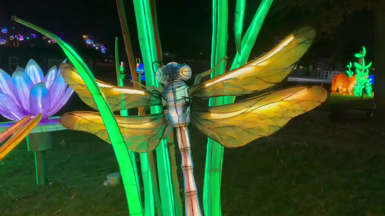 2025 Illuminate the zoo