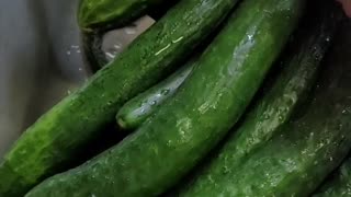 A Sink Full Of China Jade Cucumbers - Time To Can Some Pickles