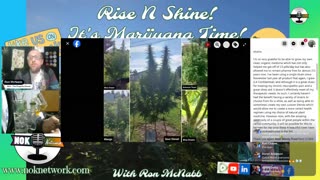 Rise ‘N Shine! It's Marijuana Time! Wake ‘N Bake Show Ep 288 August 21, 2025
