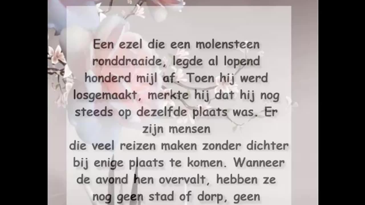 Een ezel die