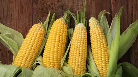 6 Breakfast Foods To Lower Your Cholesterol in Few Weeks