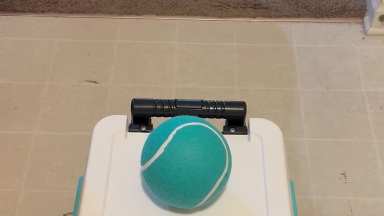 Princess n Tennis Ball