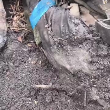 Ukraine war combat footage 8/29/25