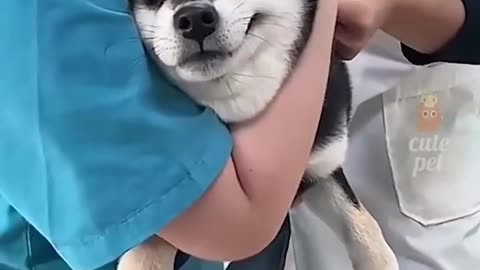 Try not to lought