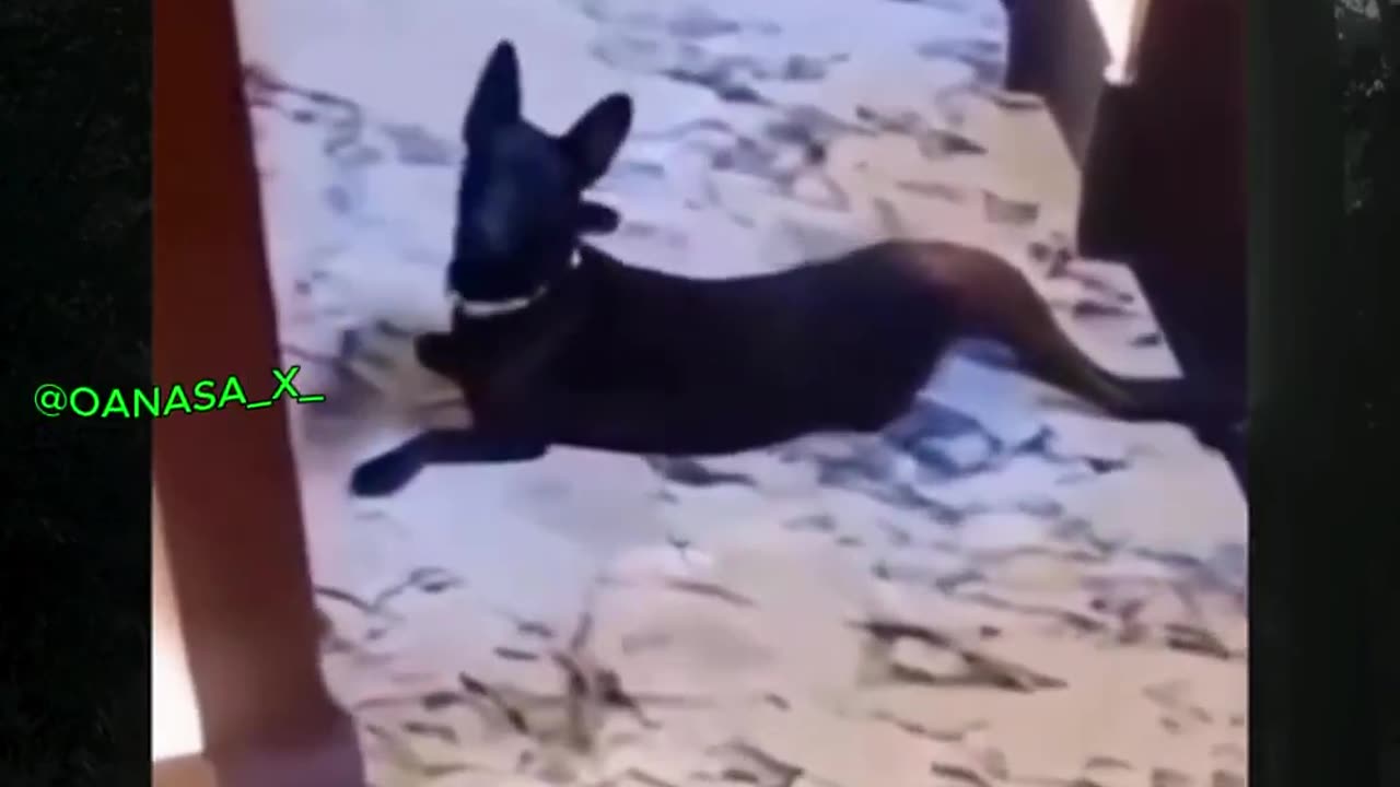 The Scariest Things Ever Caught on Camera