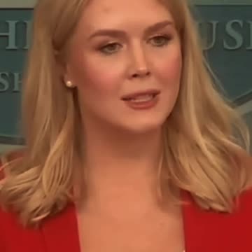 Karoline Levitt Shocks Reporter Twice