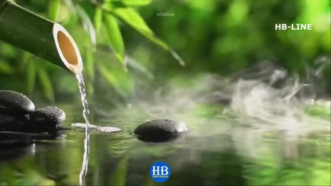 Relaxing Piano Music Meditation, Stress Relief, and Study Music