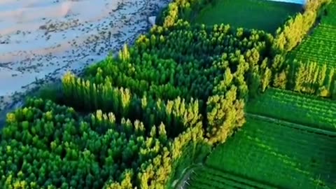 grass grid in China