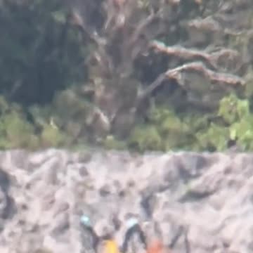 Long Range Shooting - Can You See The Vapor Trails? (Heavy Mirage)