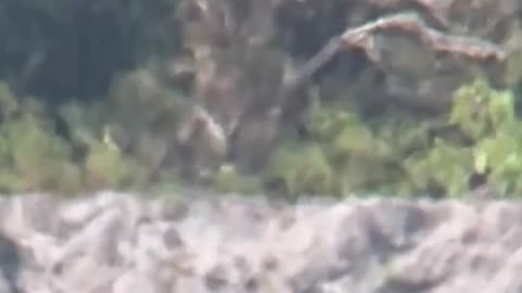 Long Range Shooting - Can You See The Vapor Trails? (Heavy Mirage)