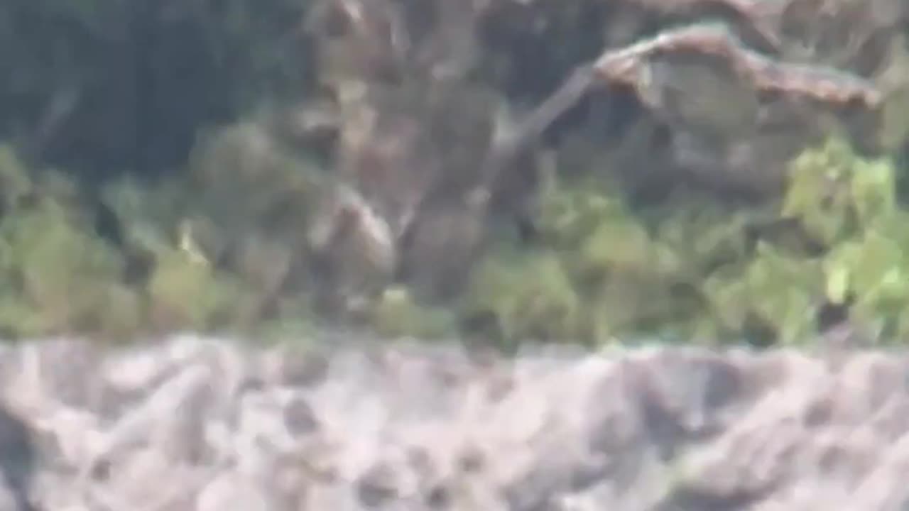 Long Range Shooting - Can You See The Vapor Trails? (Heavy Mirage)