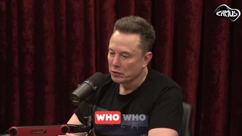 Exchange Between Elon Musk and Joe Rogan Is One of the Most Important Conversations of the Decade