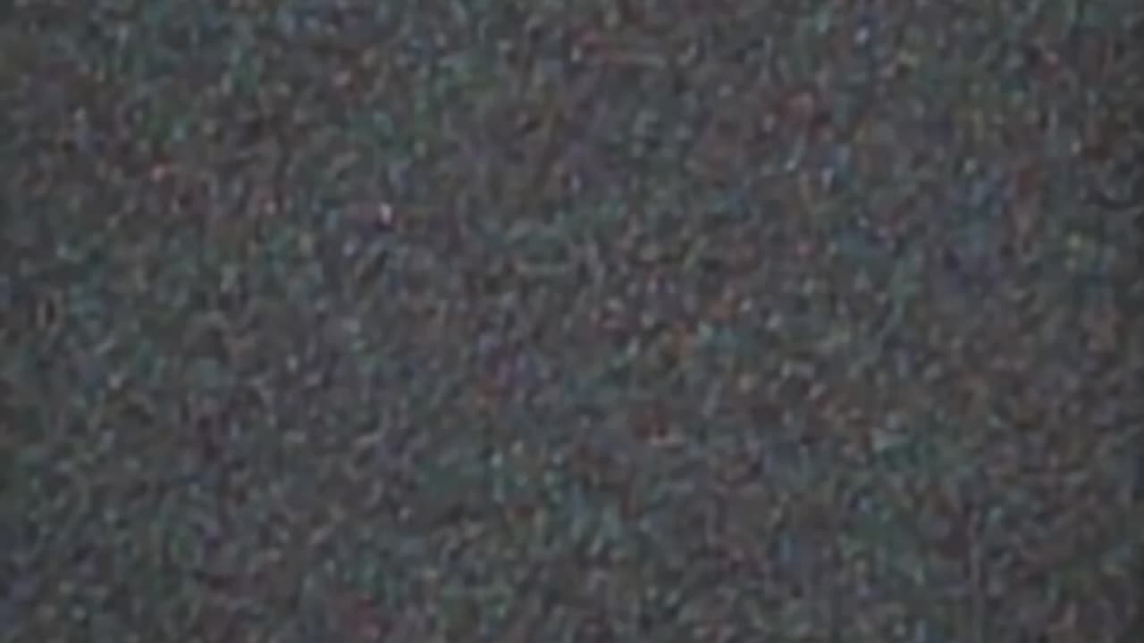 WAV - Heavy Multitaskr