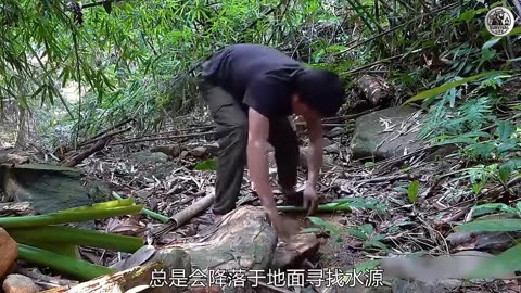 Hardcore Survival Working Session Remix