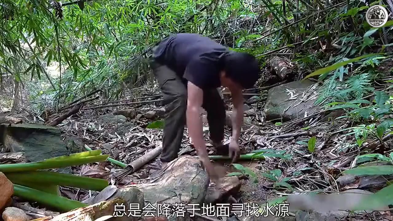 Hardcore Survival Working Session Remix