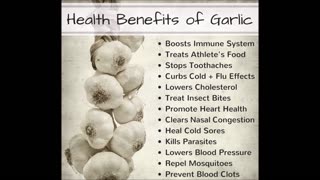 Garlic Tincture