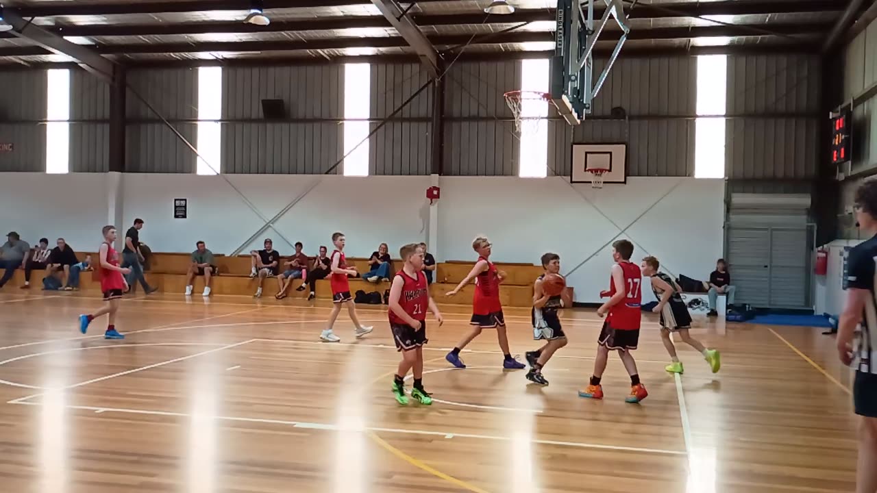 Angus - basket