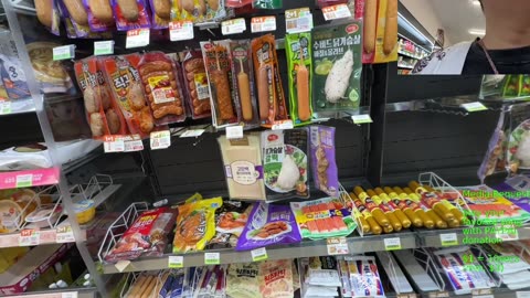 🔥Dog toy 4 shiba dog Busan Korea