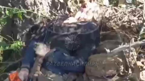 Ukraine war combat footage 9/1/25