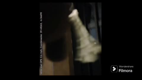 Vecinos de mi barrio intentan hacer daño a mi perro