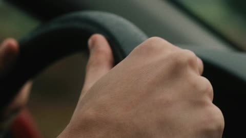 Motorista doméstico